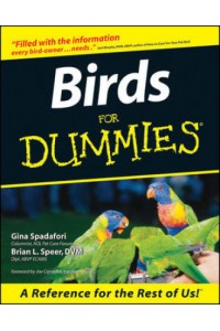 Birds for Dummies