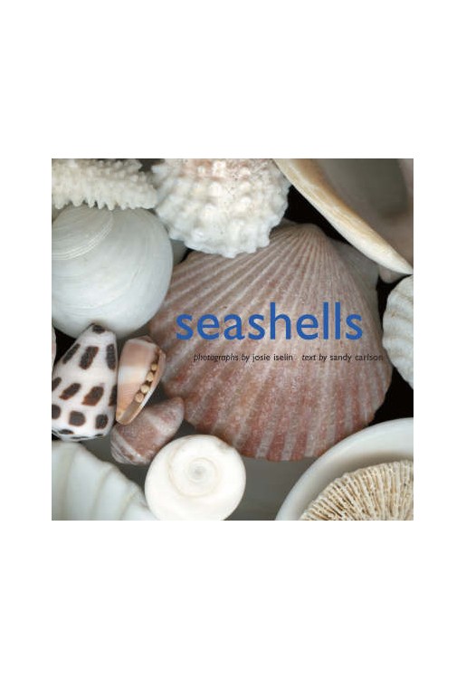 Seashells
