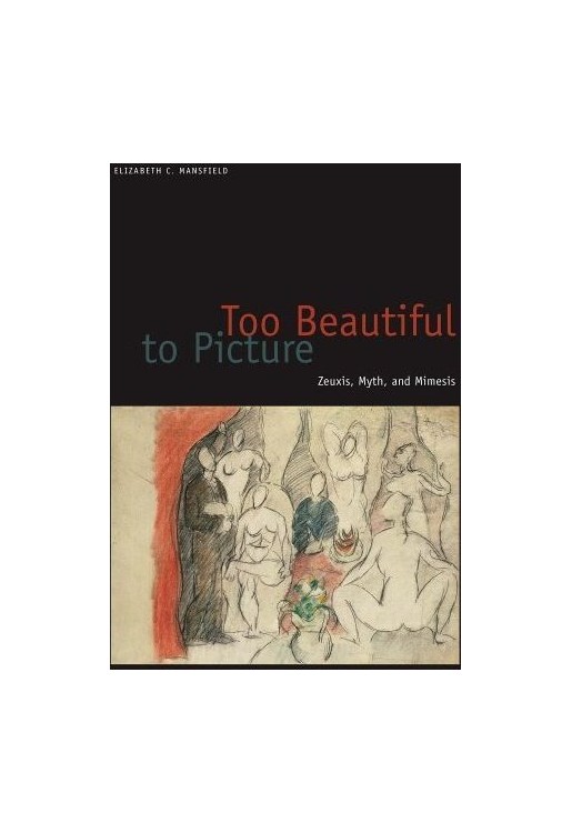 Too Beautiful to Picture