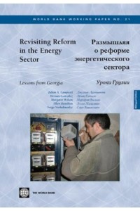 Revisiting Reform in the Energy Sector