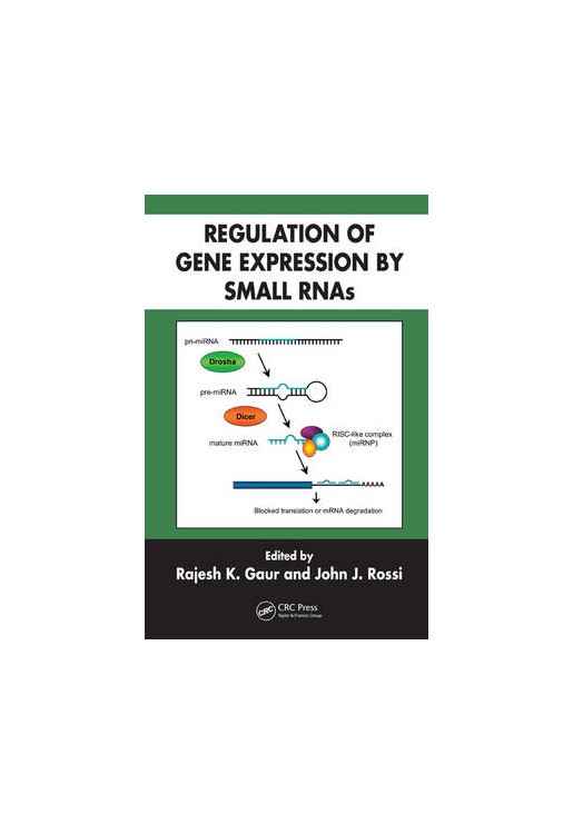 Regulation of Gene Expression by Small RNAs