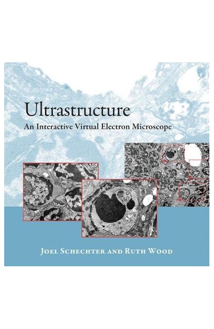 Ultrastructure CD