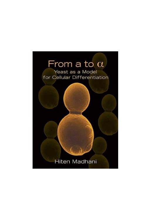 From a to Alpha Yeast as a Model for Cellular Differentiatio