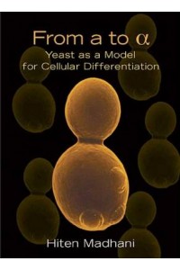 From a to Alpha Yeast as a Model for Cellular Differentiatio