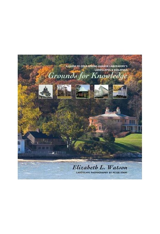 Grounds for Knowledge