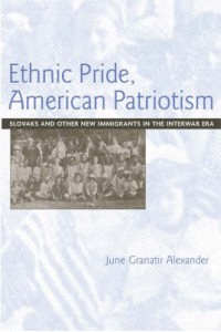 Ethnic Pride American Patriotism