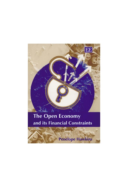 Open Economy & Its Financial Constraints