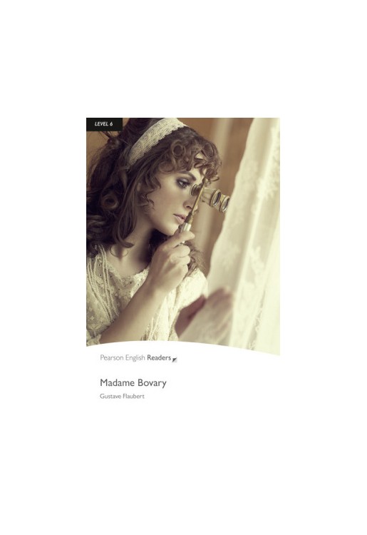 "Madame Bovary": Level 6