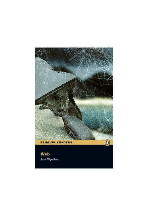 The Web: Level 5