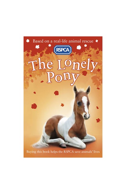 The Lonely Pony