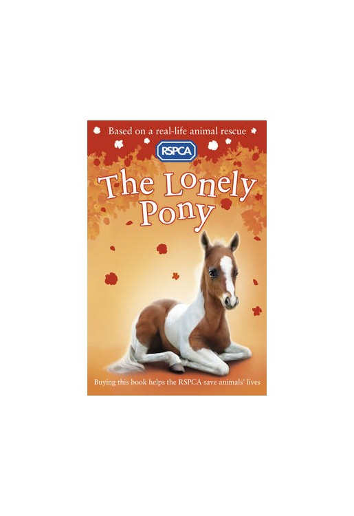 The Lonely Pony