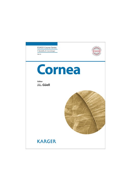 Cornea