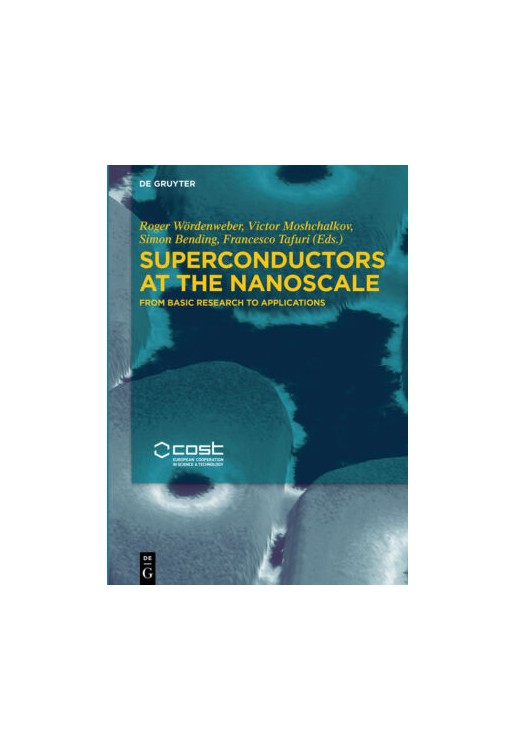 Superconductors at the Nanoscale
