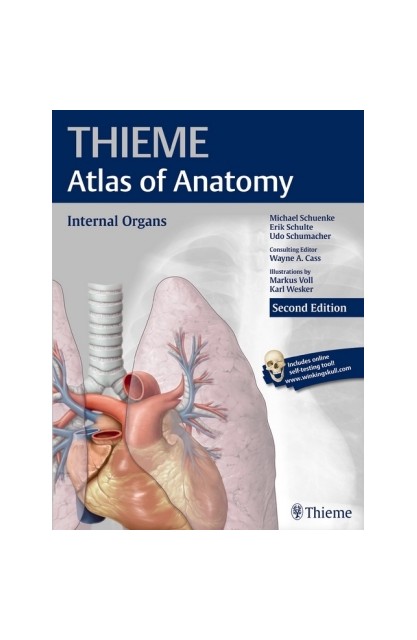 Internal Organs (Thieme...