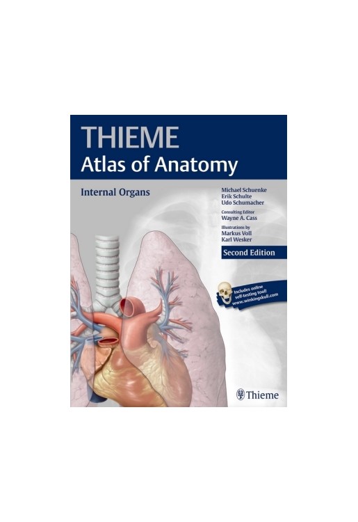 Internal Organs (Thieme Atlas of Anatomy)
