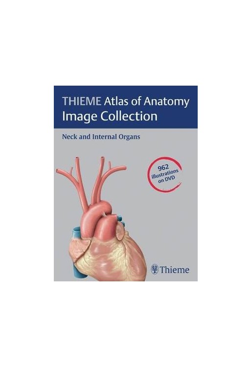 Atlas of Anatomy Image Collection Neck & Internal Organs DVD