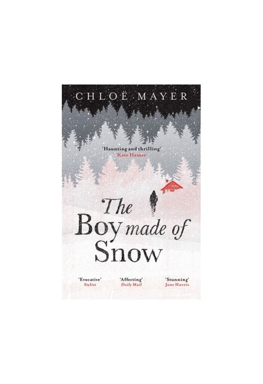 The Boy Made of Snow