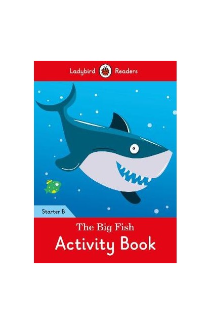 The Big Fish Activity Book:...