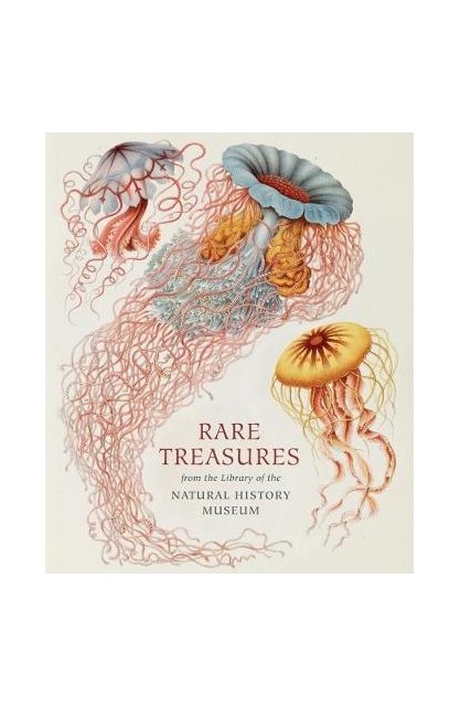 Rare Treasures