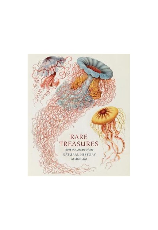 Rare Treasures
