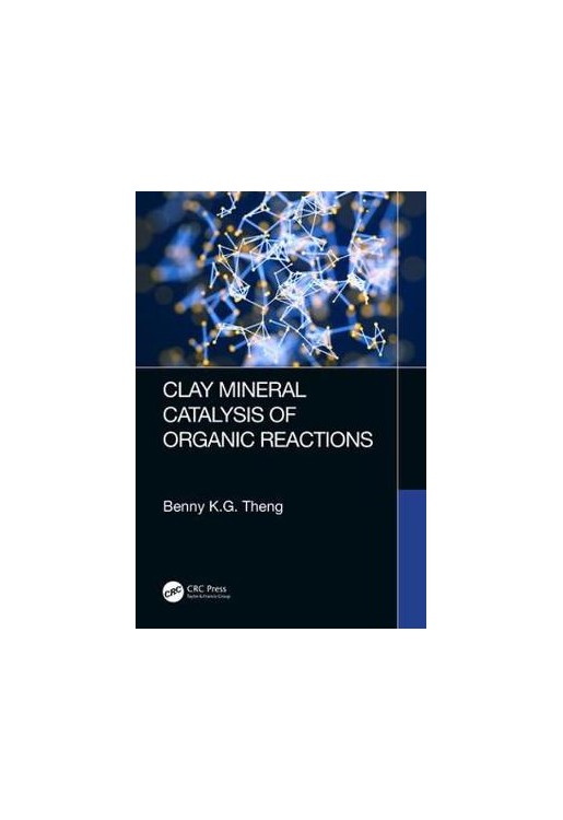 Clay Mineral Catalysis of Organic Reactions