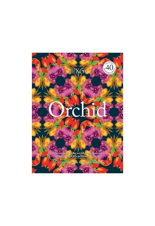 The Orchid (Royal Botanical Gardens, Kew)