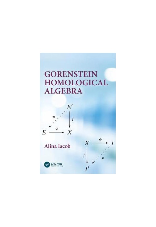Gorenstein Homological Algebra