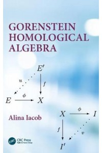 Gorenstein Homological Algebra