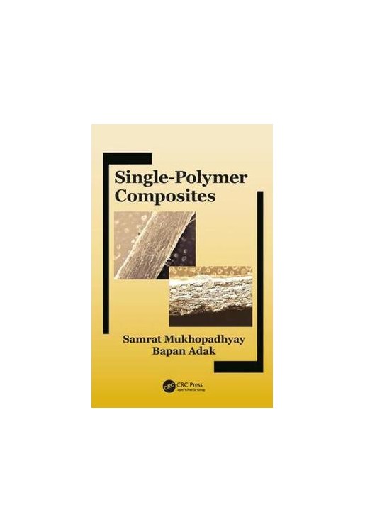 Single-Polymer Composites