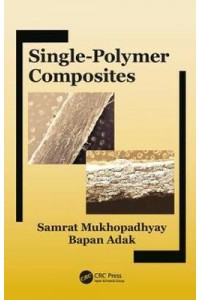 Single-Polymer Composites