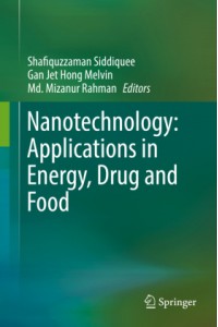 Nanotechnology: Applications in Energy, Drug and Food