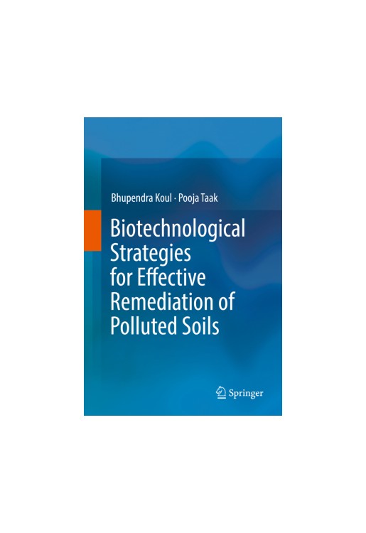 Biotechnological Strategies for Effective Remediation of Polluted Soils