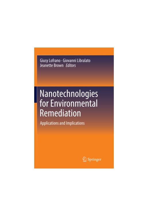 Nanotechnologies for Environmental Remediation