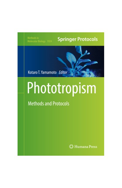 Phototropism