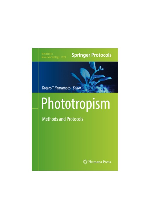 Phototropism