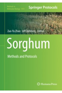 Sorghum