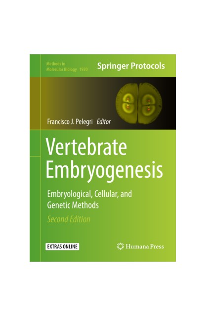 Vertebrate Embryogenesis