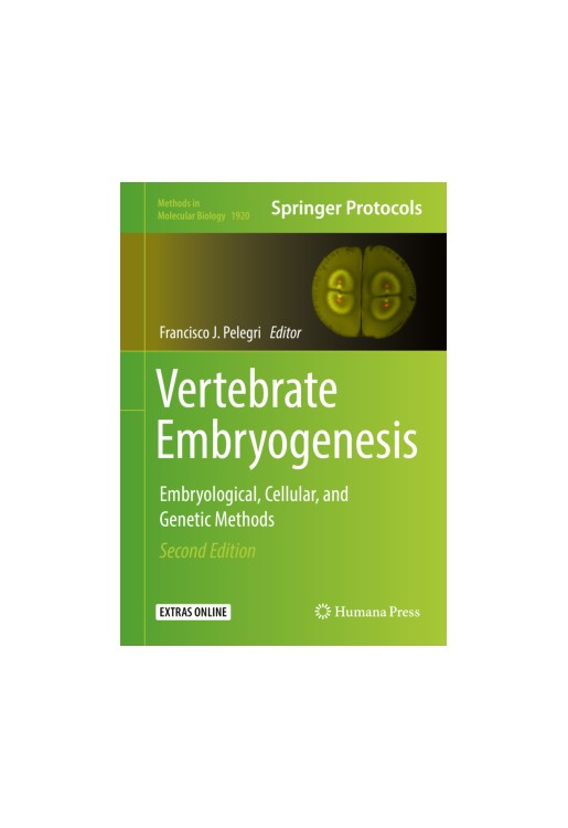 Vertebrate Embryogenesis
