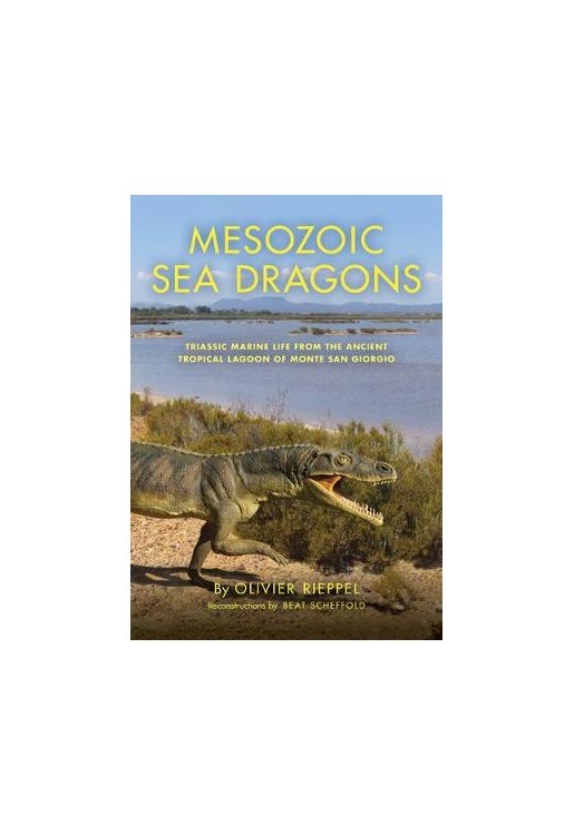 Mesozoic Sea Dragons