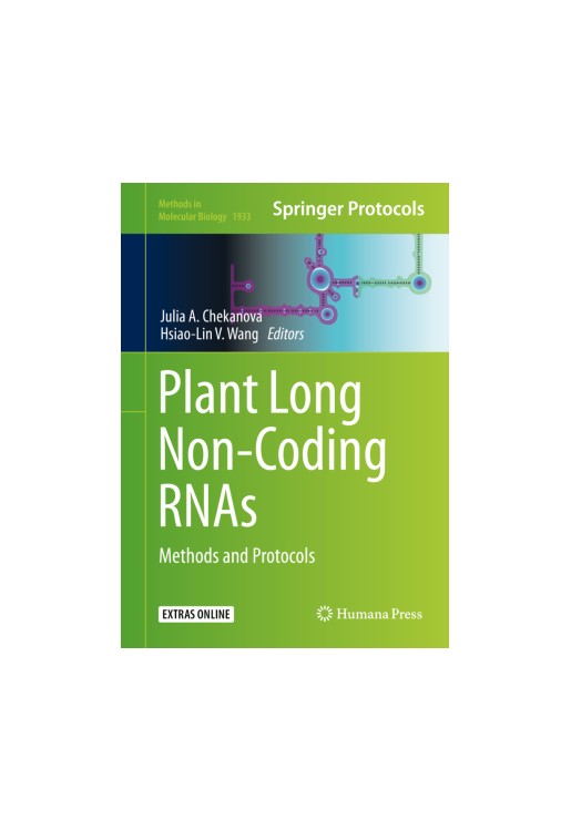 Plant Long Non-Coding RNAs