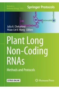 Plant Long Non-Coding RNAs