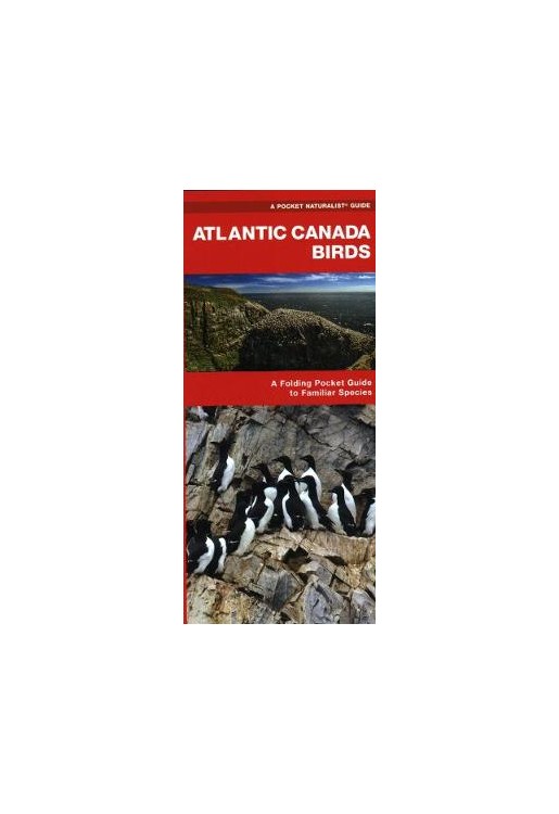 Atlantic Canada Birds