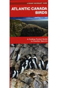 Atlantic Canada Birds