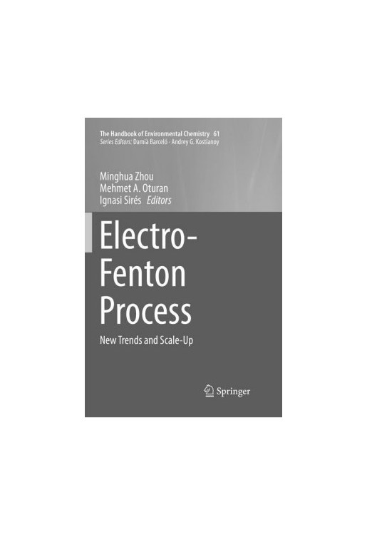 Electro-Fenton Process