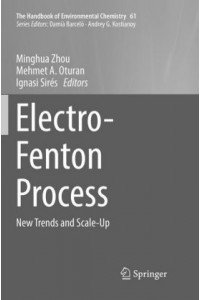 Electro-Fenton Process