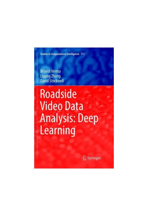 Roadside Video Data Analysis