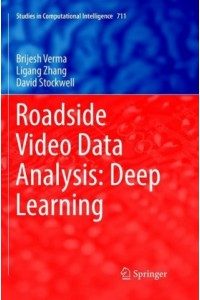 Roadside Video Data Analysis