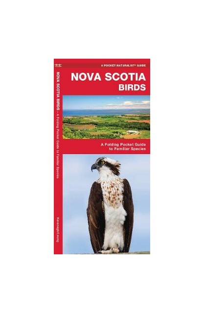 Nova Scotia Birds