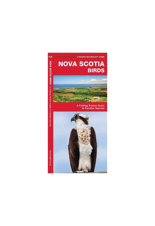 Nova Scotia Birds