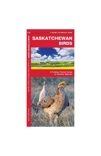 Saskatchewan Birds